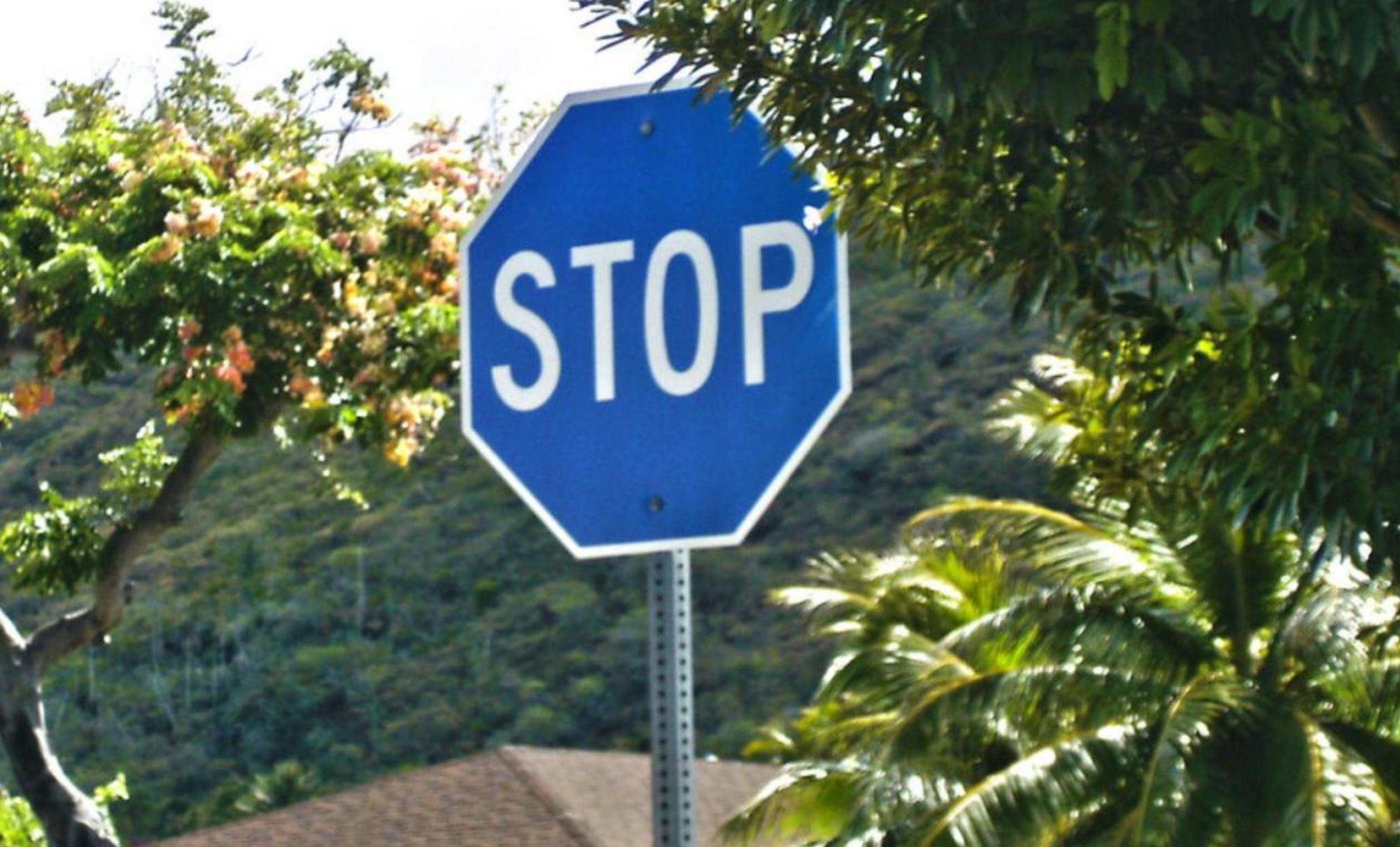 Γνωρίζεις αυτή τη πινακίδα; Τι σημαίνει το μπλε STOP και πού το βλέπουμε