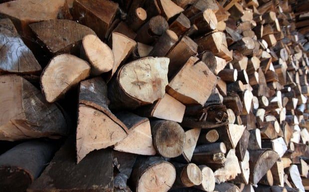 Κόβουν παράνομα δέντρα στην Εύβοια: Νέα σοβαρή καταγγελία