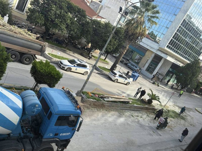 «Βροχή» οι αντιδράσεις για το ξερίζωμα των δέντρων σε κεντρικό δρόμο της Χαλκίδας – Νέα σκληρή δήλωση