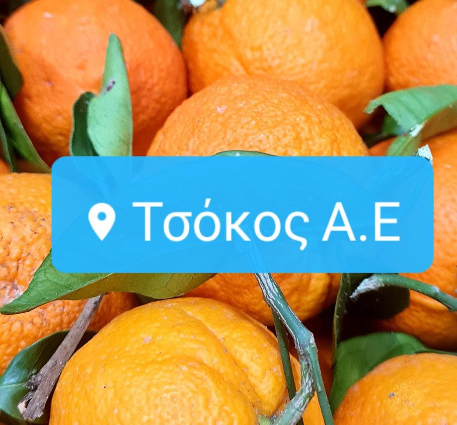 Αυτός είναι ο ηγέτης στο Εμπόριο & Χονδρεμπόριο Φρούτων στη Χαλκίδα