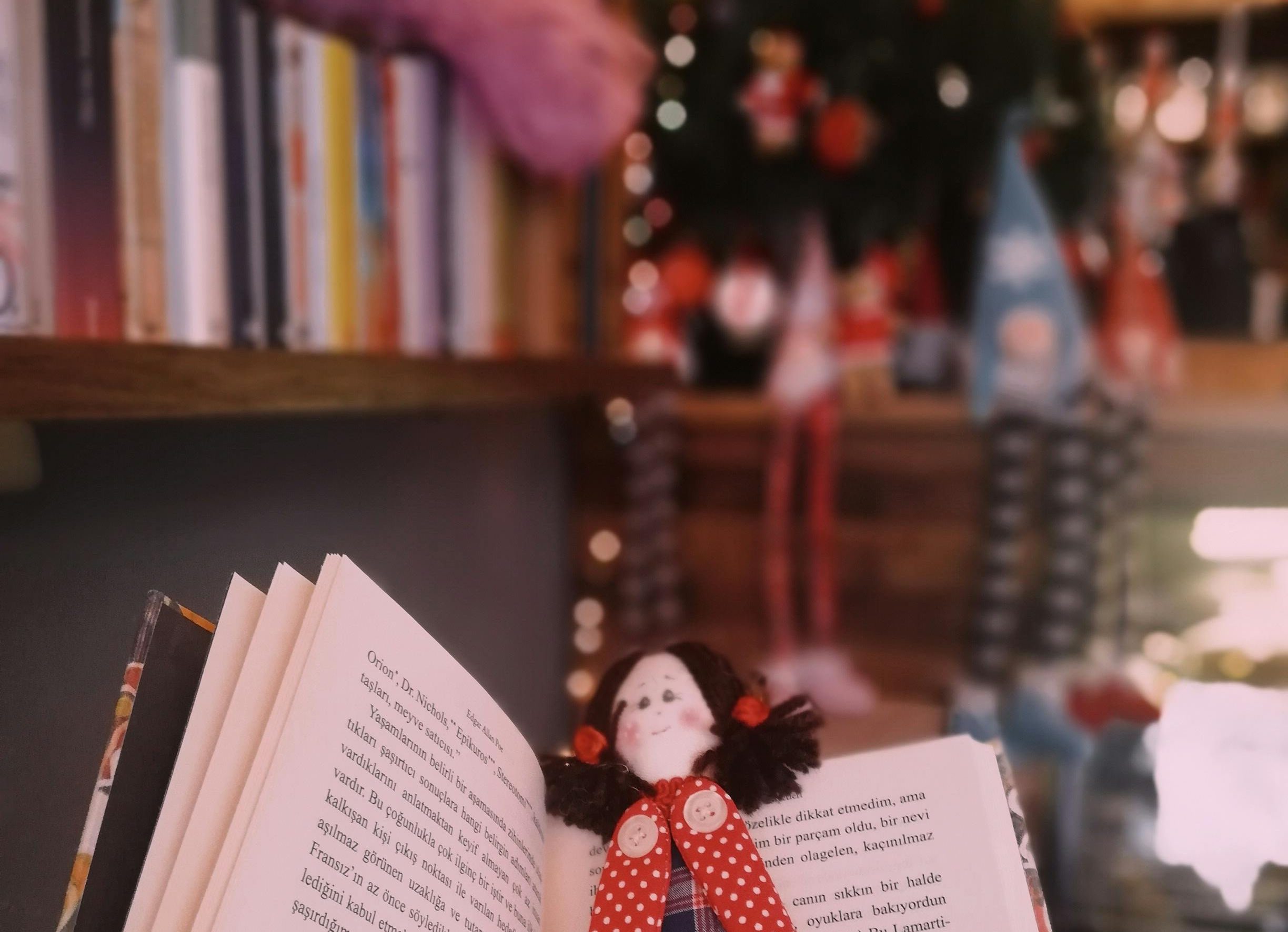 Μαθητές στολίζουν βιβλιοθήκη για τα Χριστούγεννα στην Εύβοια