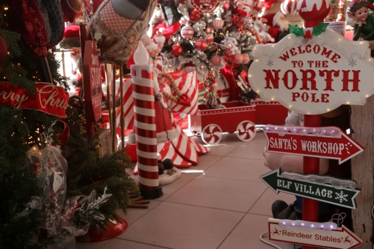 Χριστούγεννα: Δείτε πώς θα στολίσετε οικονομικά και εντυπωσιακά το σπίτι σας – Οι τιμές στην αγορά