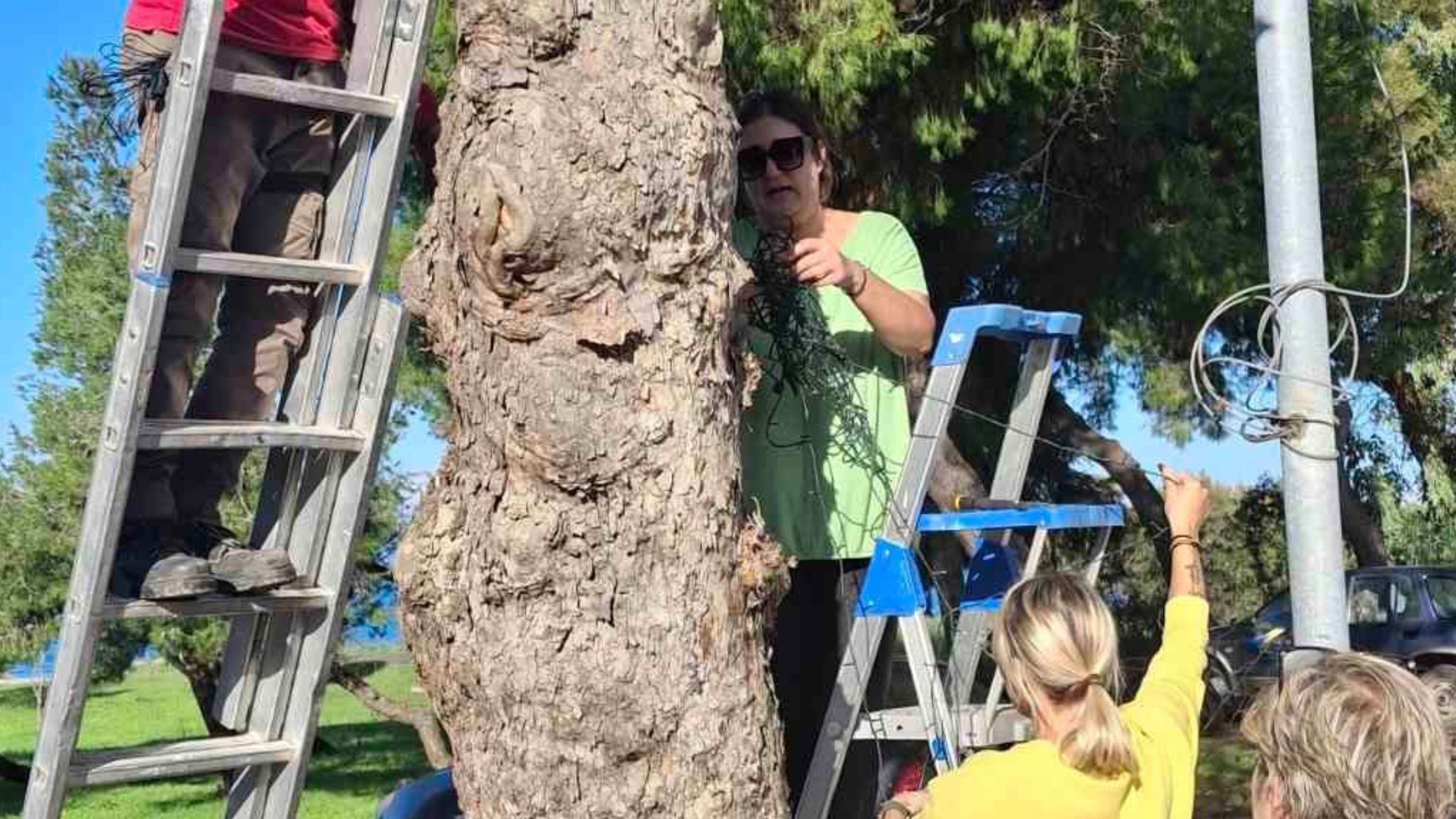 Χριστούγεννα στην Εύβοια: Αυτή η περιοχή φόρεσε τα γιορτινά της