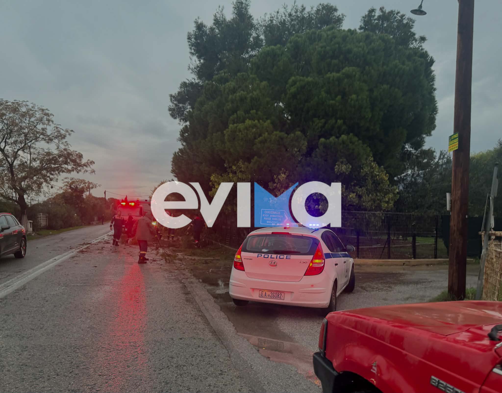 Συναγερμός στην Εύβοια: Επί ποδός οι Αρχές, απομάκρυναν το δέντρο που έπεσε σε κεντρικό δρόμο (εικόνες)