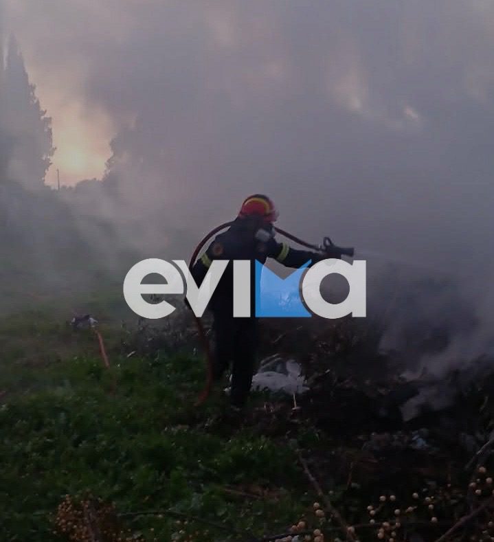 Φωτιά σε χώρο με σκουπίδια στην Εύβοια