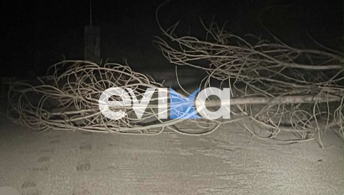 Κακοκαιρία στην Εύβοια: Προσοχή σε αυτό τον δρόμο- Έχουν πέσει κλαδιά και λεύκες