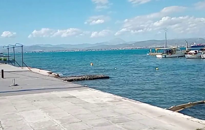 Σοβαρή καταγγελία από το ΠΑΚΟΕ για αντιδήμαρχο από την Εύβοια – Τι έχει συμβεί