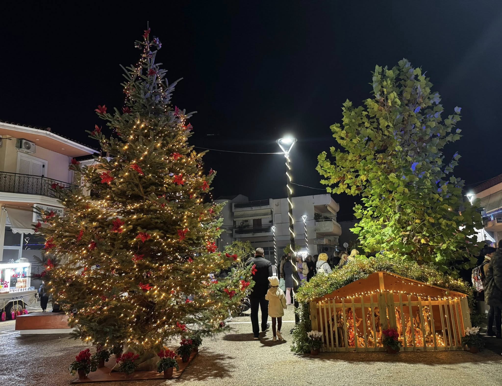 Δήμος Χαλκιδέων: Λαμπερή βραδιά στην Αυλίδα! Άναψαν το Χριστουγεννιάτικο δέντρο (εικόνες)