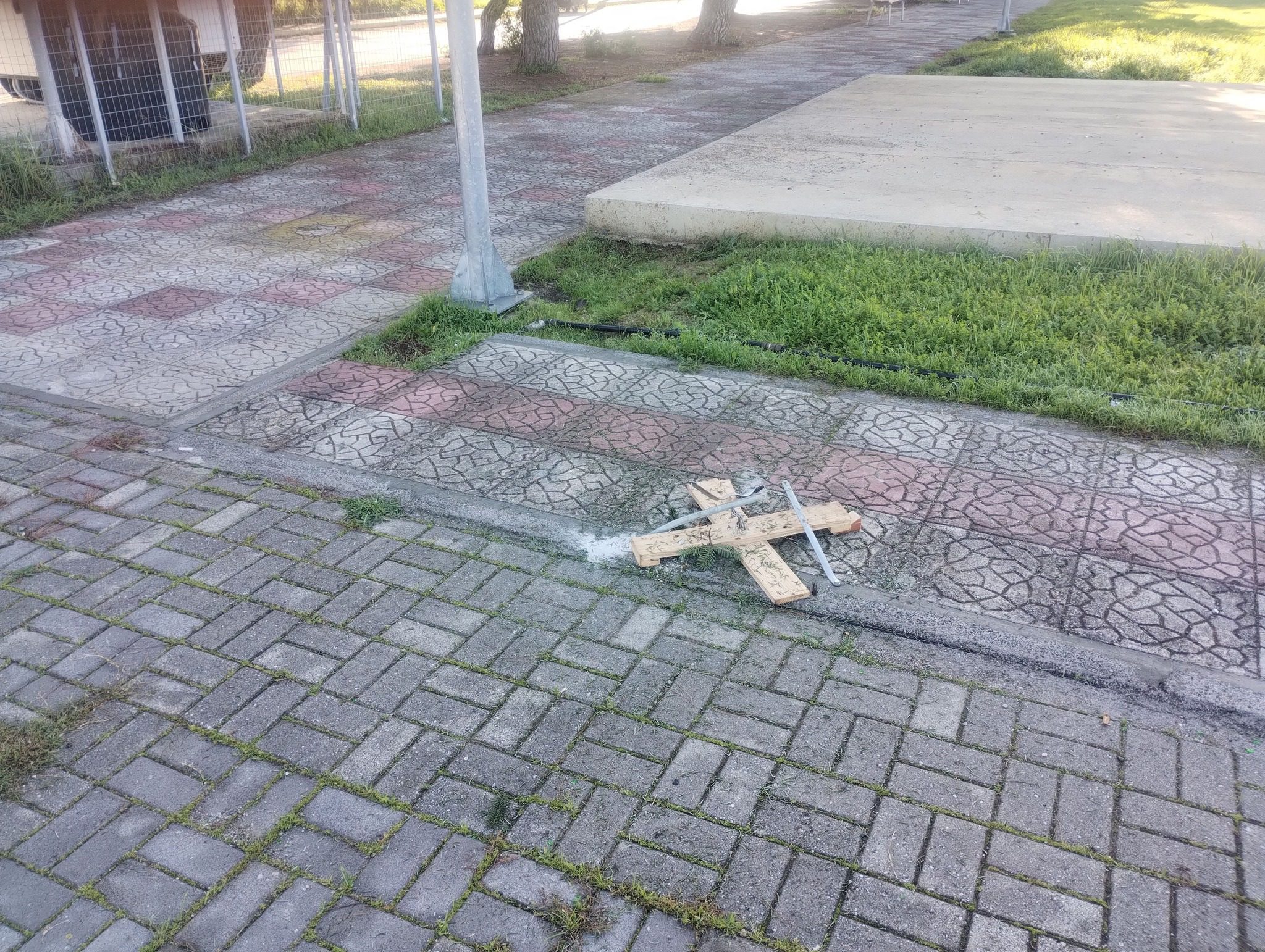 Αδιανόητο περιστατικό στην Εύβοια: Έκλεψαν χριστουγεννιάτικα δέντρα από κεντρικά σημεία