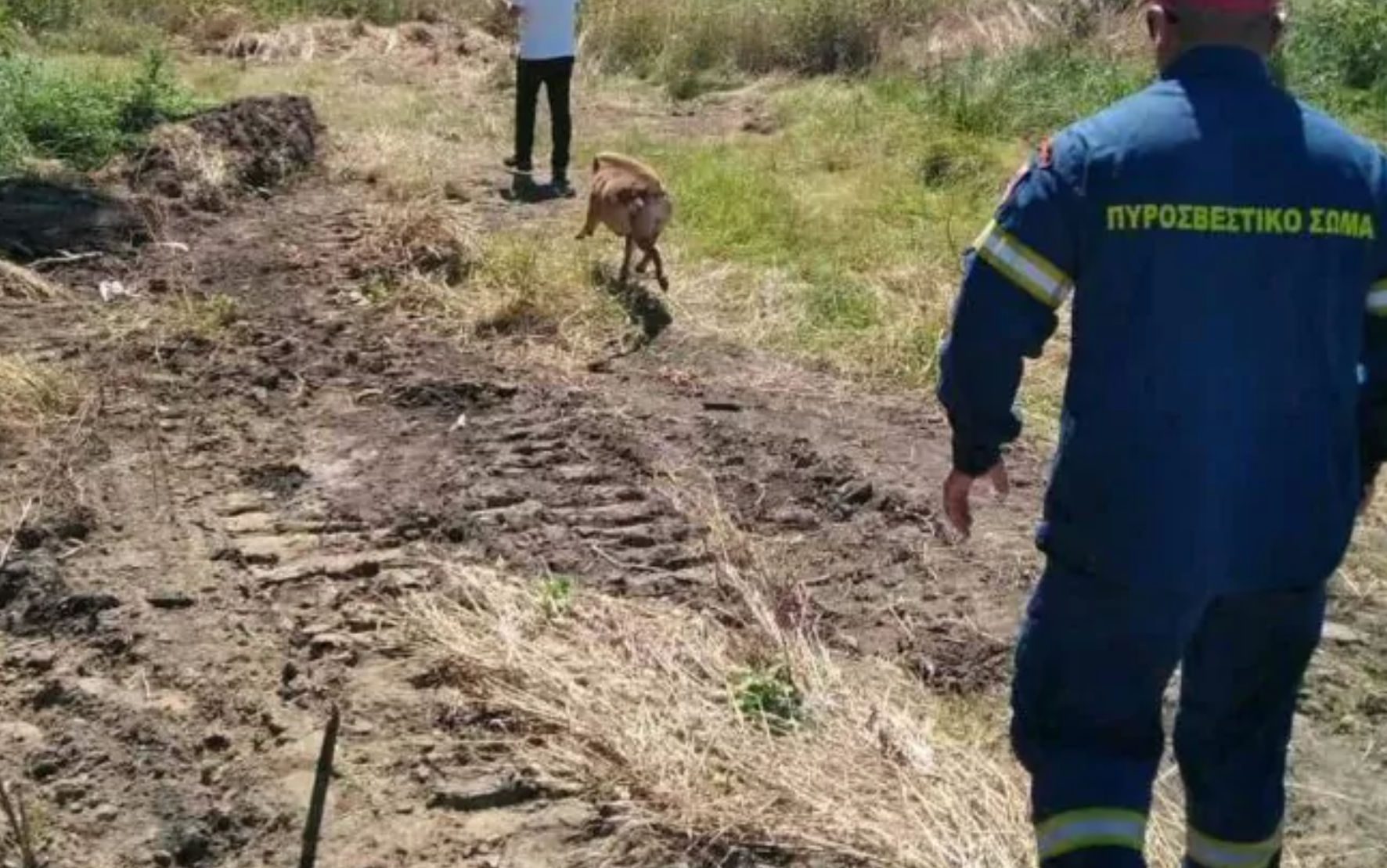 Κορυφώνεται η αγωνία για την γυναίκα που χάθηκε στην Εύβοια