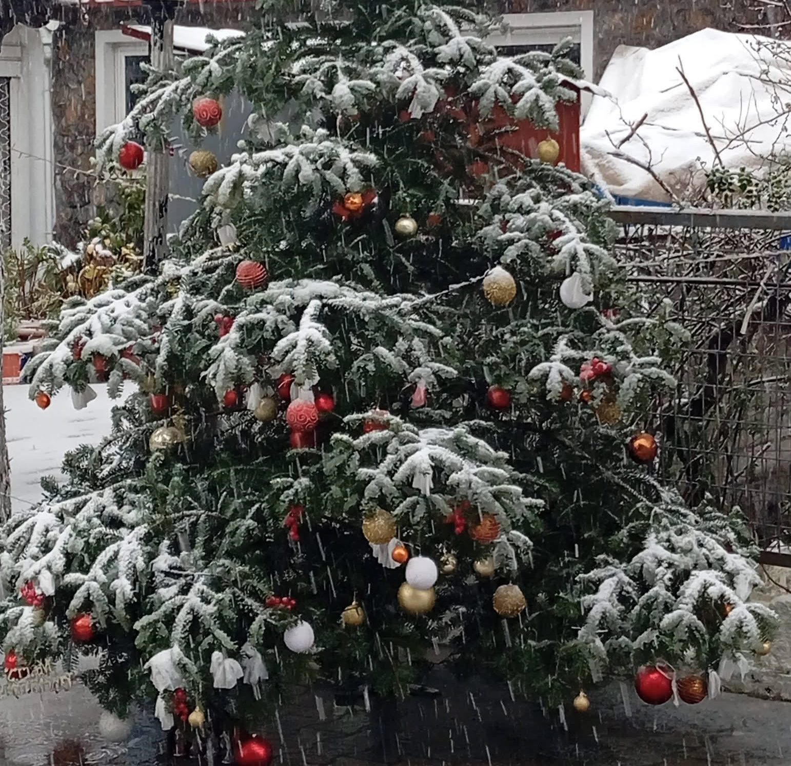 Μαγικές εικόνες από χιονισμένα χωριά στην Εύβοια!