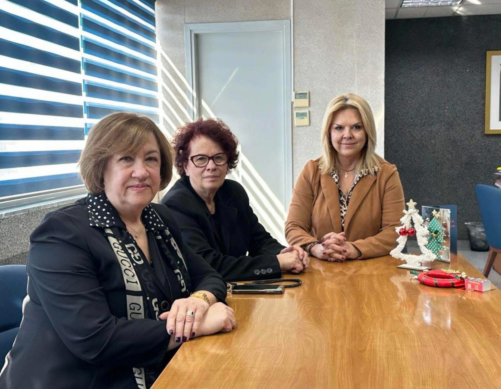 Χαλκίδα: Τι είπε η δήμαρχος στους ελεύθερους επαγγελματίες του Ληλαντίου