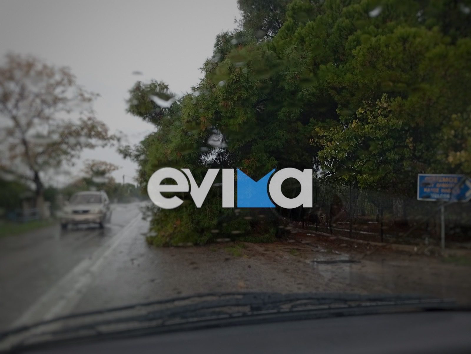 Κακοκαιρία στην Εύβοια: Προσοχή! Έχει πέσει δέντρο στον κεντρικό δρόμο στην Αμάρυνθο (εικόνες)