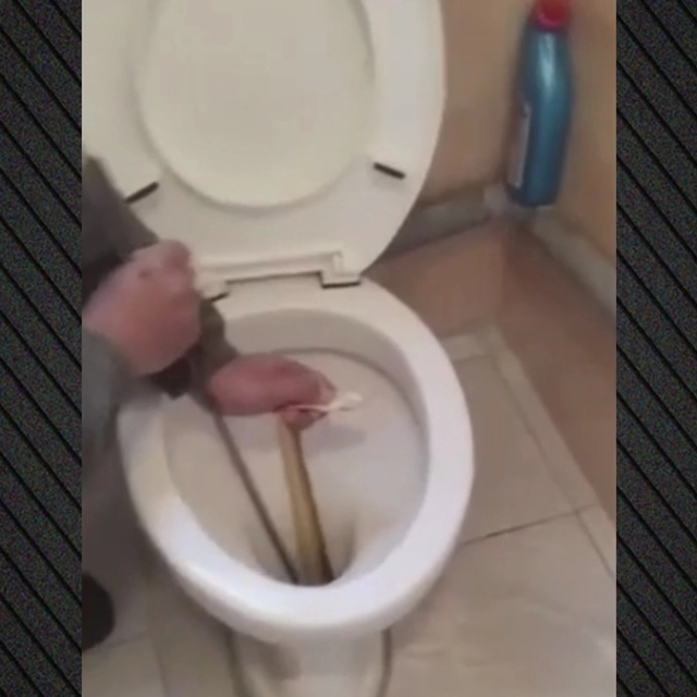 Μεγάλο φίδι ζούσε για 2 εβδομάδες σε λεκάνη τουαλέτας στην Καστοριά – δείτε βίντεο