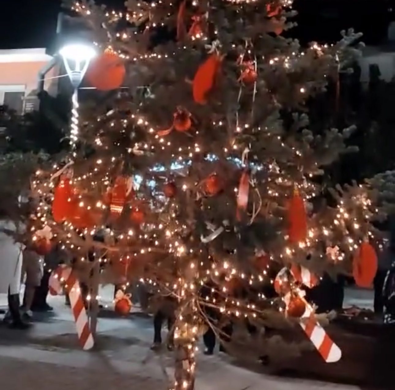 Εύβοια: Σε αυτό το χωριό άναψαν το χριστουγεννιάτικο δέντρο και έφαγαν και λουκουμάδες (εικόνες)