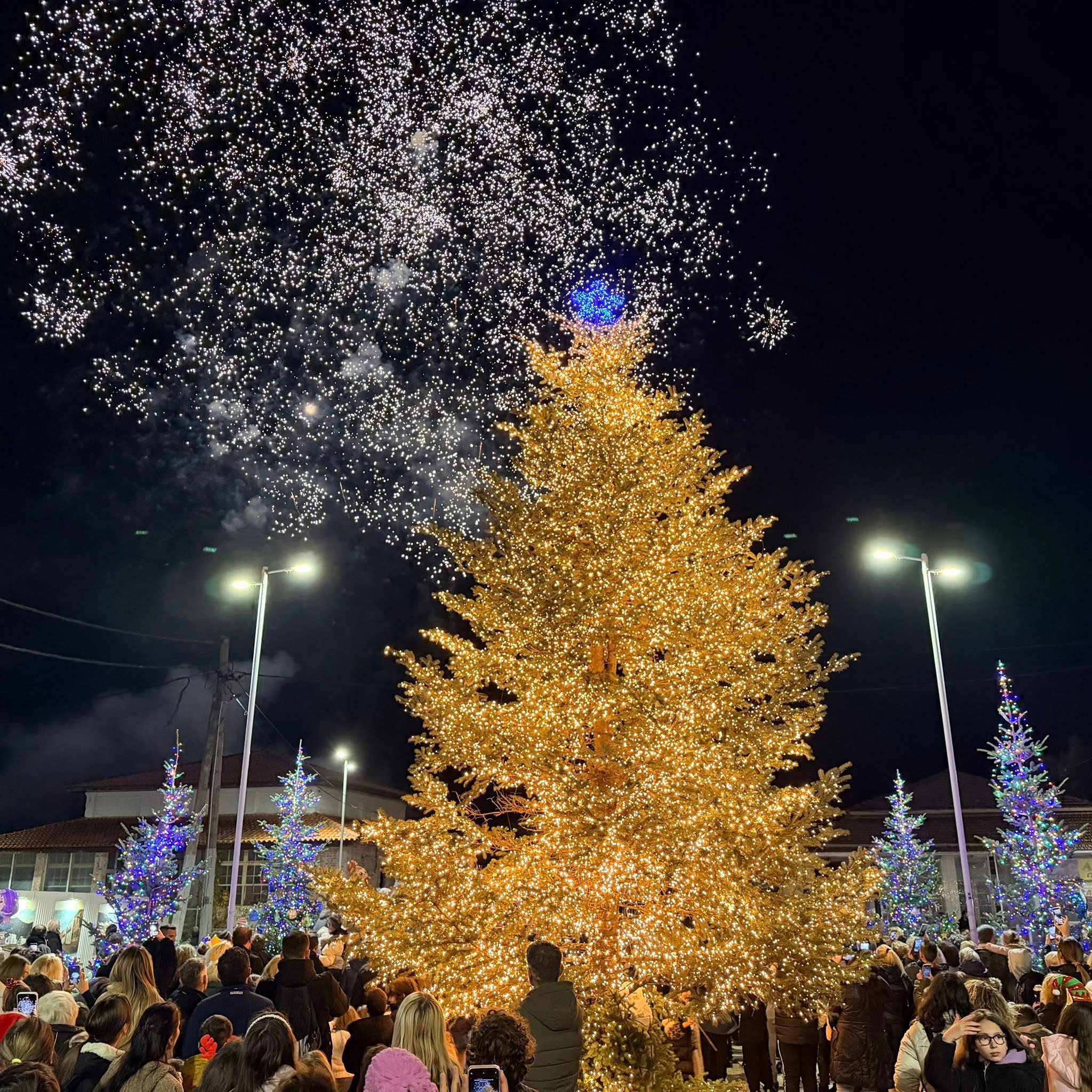 Άναψε το χρυσό δέντρο στην Εύβοια (pics&vid)