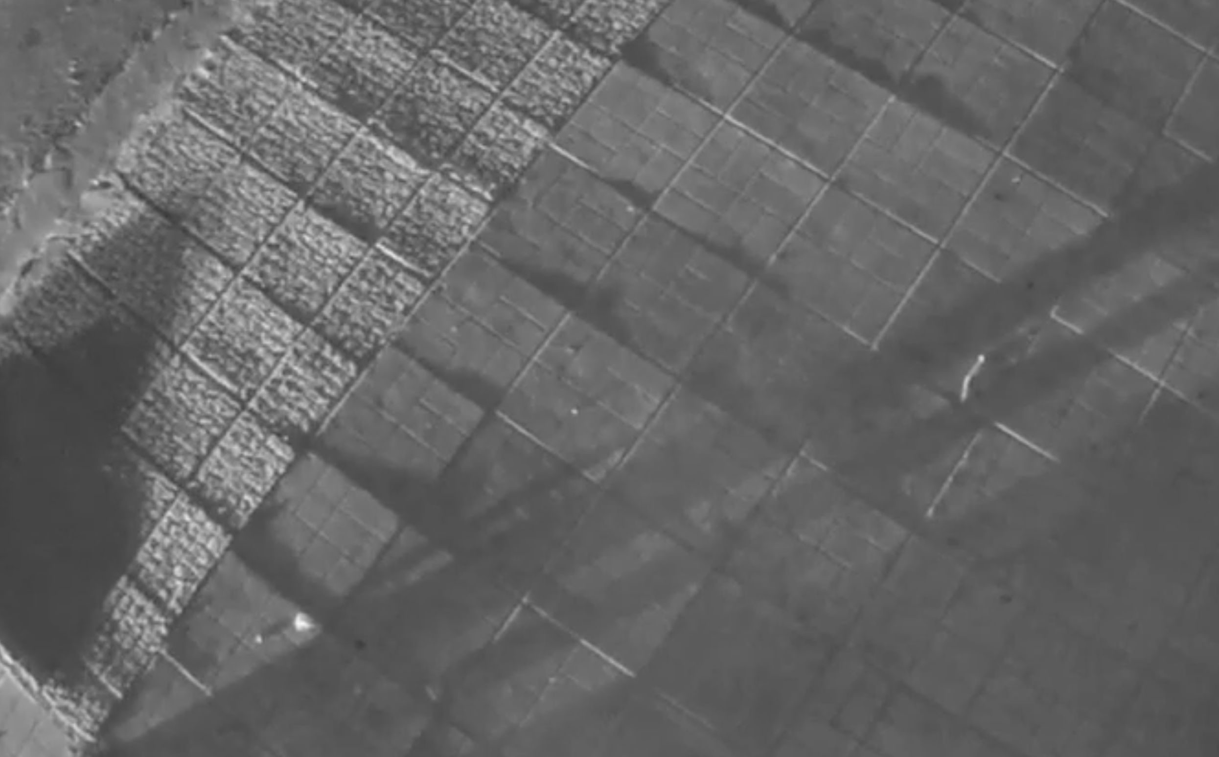 Η στιγμή της σύλληψης του 16χρονου γιου του Μιχάλη Κατρίνη μετά από καταδίωξη (video)