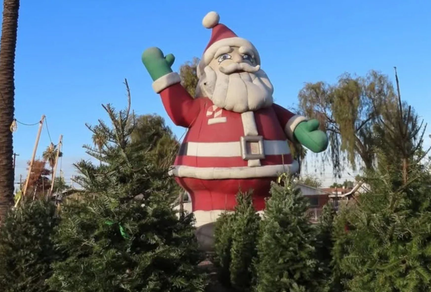 Έκλεψαν φουσκωτό Άγιο Βασίλη από επιχείρηση χριστουγεννιάτικων δέντρων – Τι ζητά η οικογένεια