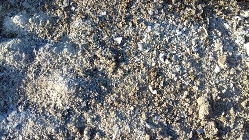 Άνδρας πλήρωσε 500 ευρώ στην Εύβοια γιατί πέταξε στάχτη