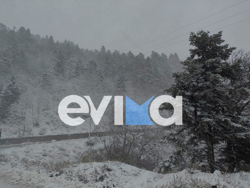 Στα λευκά η Στενή Ευβοίας παραμονή Πρωτοχρονιάς – Μοναδικό θέαμα