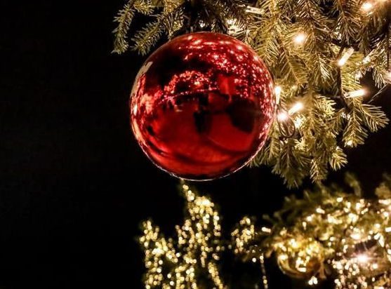 Εύβοια: Αυτά τα χριστουγεννιάτικα δέντρα θα «λάμψουν» τις επόμενες ημέρες – Δείτε τις περιοχές