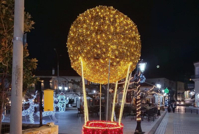 Ενας αρκούδος… influencer φέρνει τα Χριστούγεννα στην Εύβοια