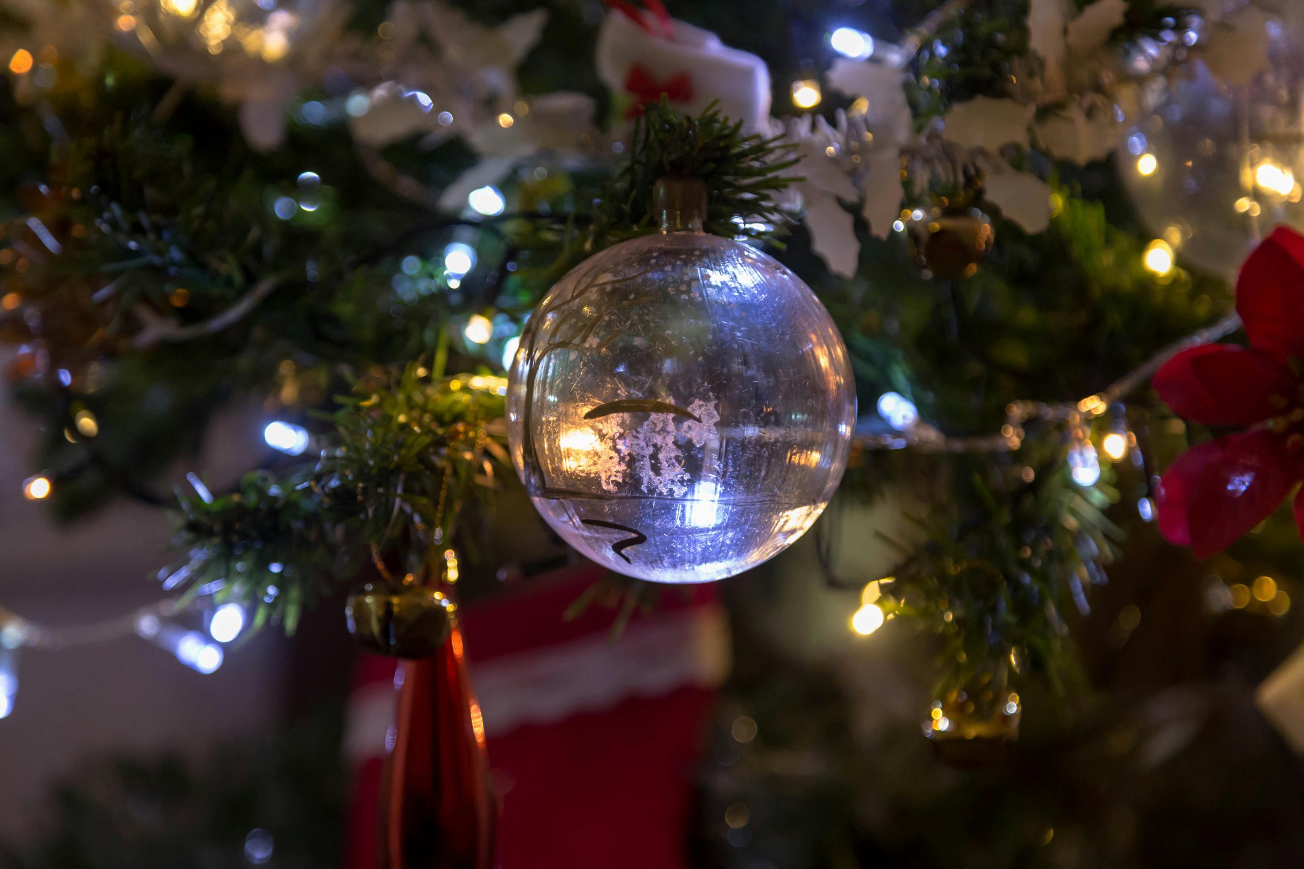 Ποια είναι τα 5 επικίνδυνα λάθη που κάνετε με το χριστουγεννιάτικο δέντρο