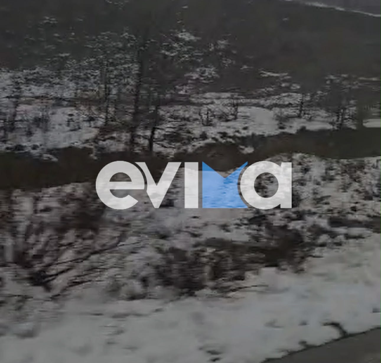 Χιόνια: Το έστρωσε σήμερα σε ακόμη ένα χωριό της Εύβοιας (vid)