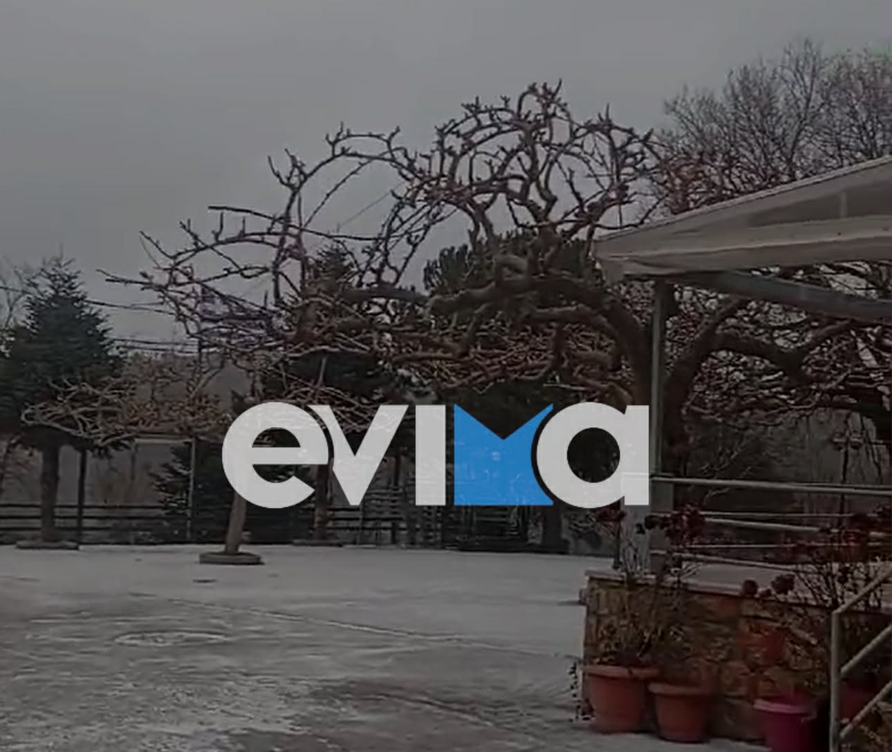 Ξεκίνησε να χιονίζει τώρα στην Εύβοια: Δείτε live εικόνα