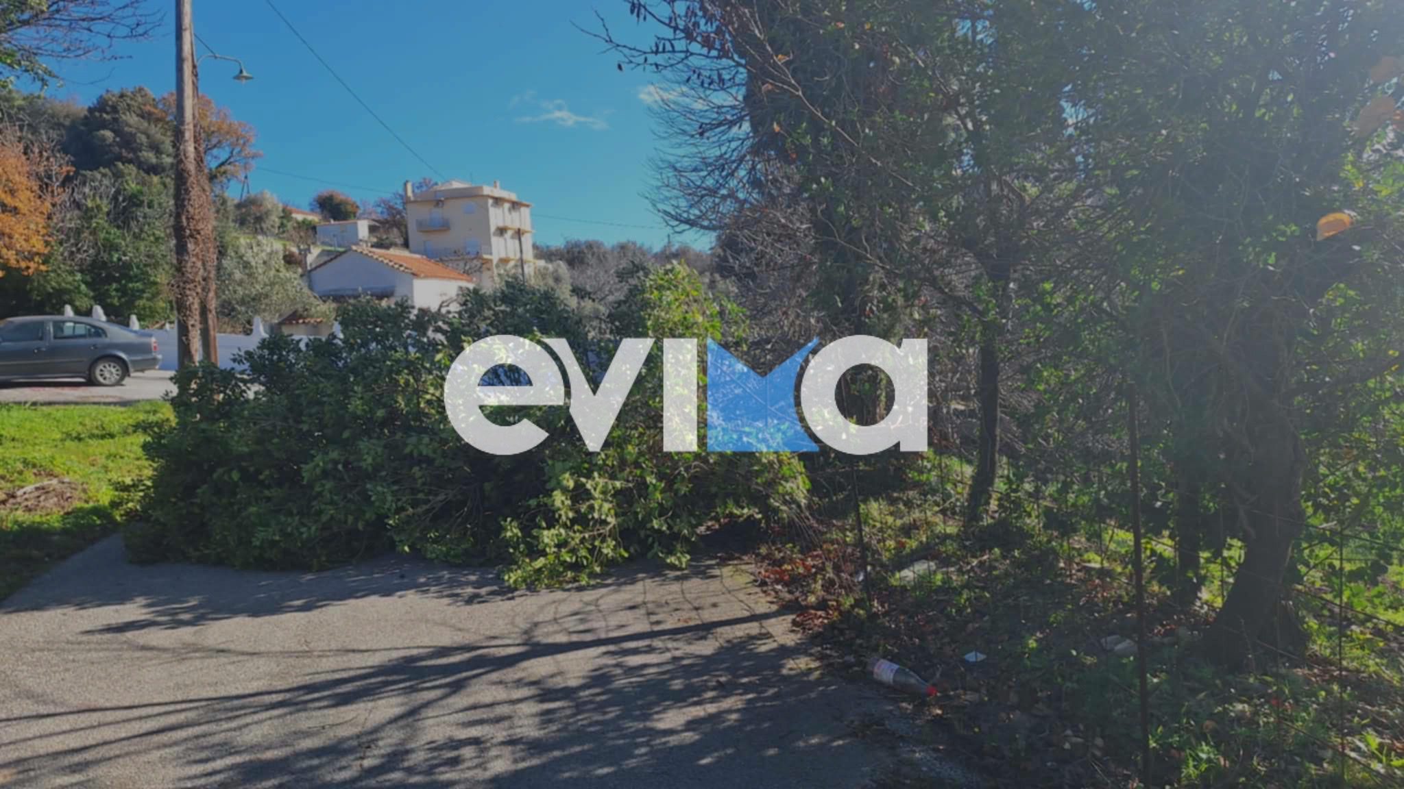 Εύβοια: Σοβαρά προβλήματα από τους ισχυρούς ανέμους- Ξήλωσαν σκέπαστρο, έριξαν κολόνες της ΔΕΗ (pics)