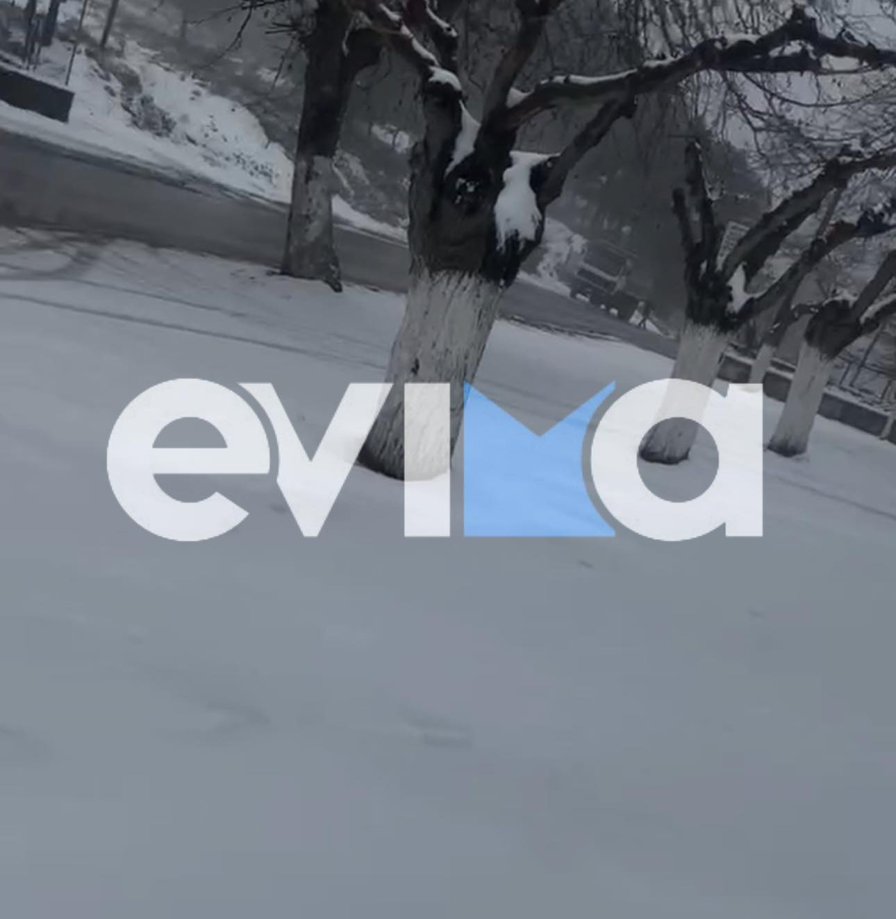 Χιονισμένα τοπία στην Εύβοια: Πού το έστρωσε – Έρχεται νέος χιονιάς (pics&vid)