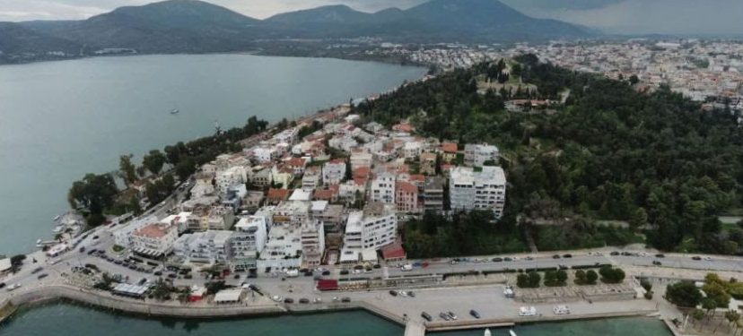 Έρχεται η γιορτή του δέντρου στην Εύβοια: Πού θα γίνει