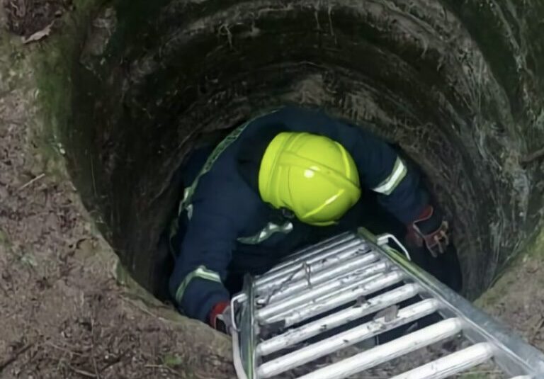 Πυροσβέστες έσωσαν σκύλο μέσα από πηγάδι 7 μέτρων