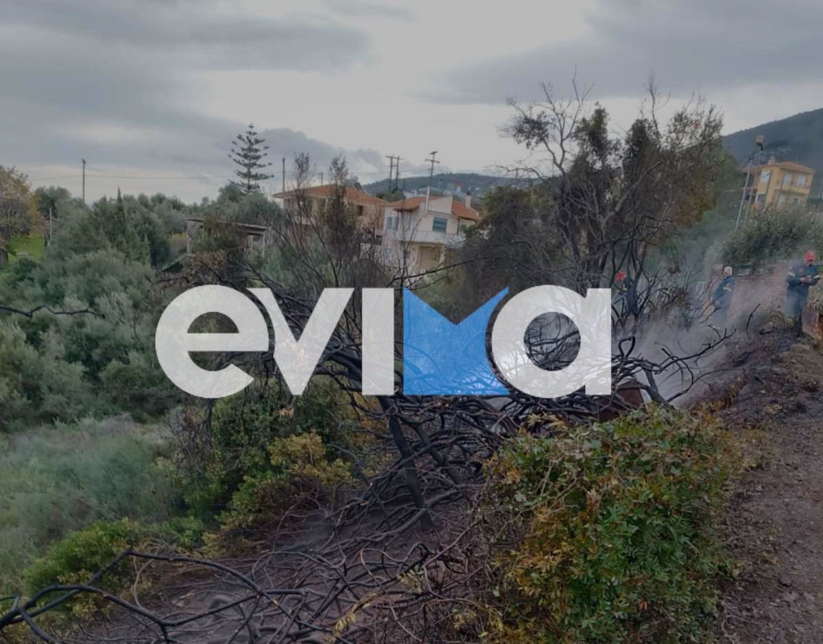 Υπό έλεγχο η φωτιά κοντά σε σπίτια στην Εύβοια