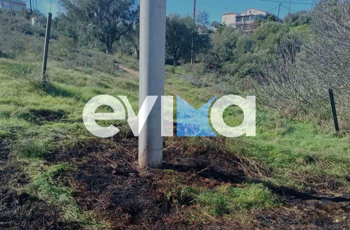 Φωτιά κάτω από κολώνα της ΔΕΗ στη Χαλκίδα