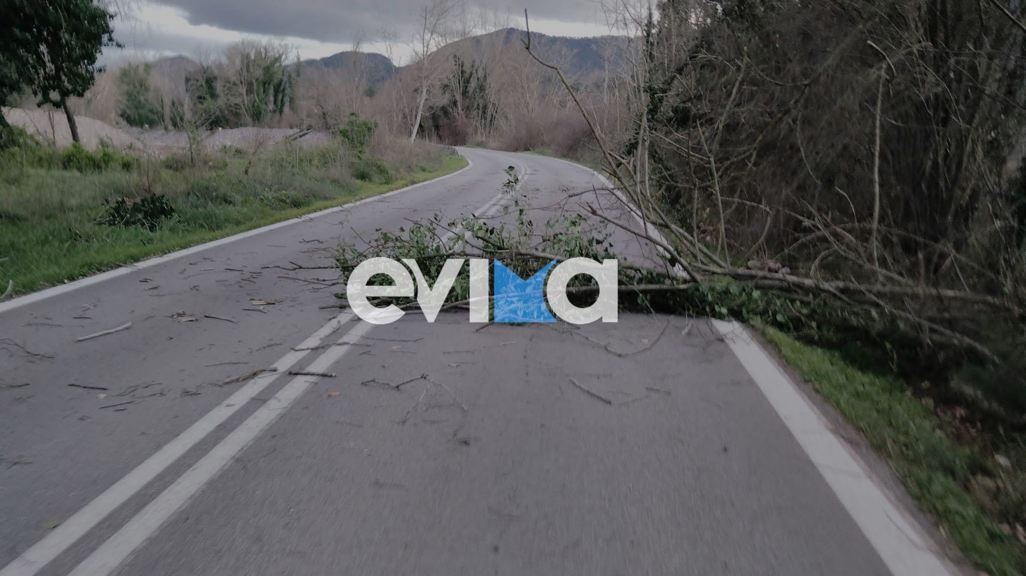 Εύβοια: Προσοχή στο οδικό δίκτυο λόγω πτώσης δέντρων και κλαδιών