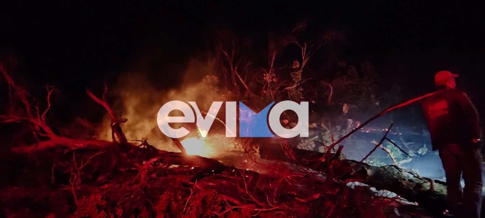 Φωτιά σε δάσος στην Εύβοια