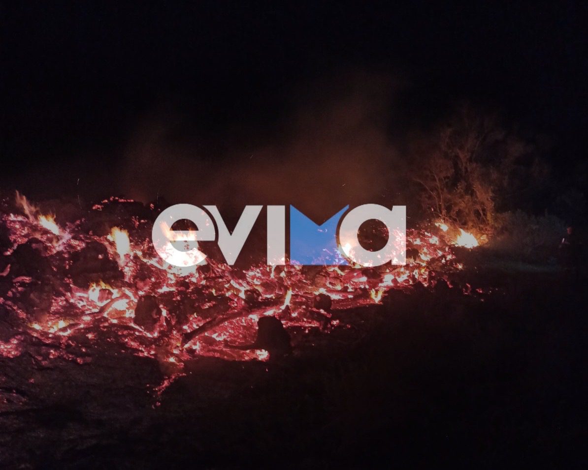 Νέα φωτιά τώρα στην Εύβοια