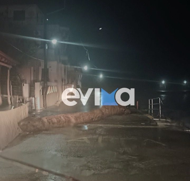 Η κακοκαιρία σαρώνει την Κύμη: Η θάλασσα ξέβρασε γίγαντα κορμό και έκοψε στα δύο την παραλία (pics&vid)