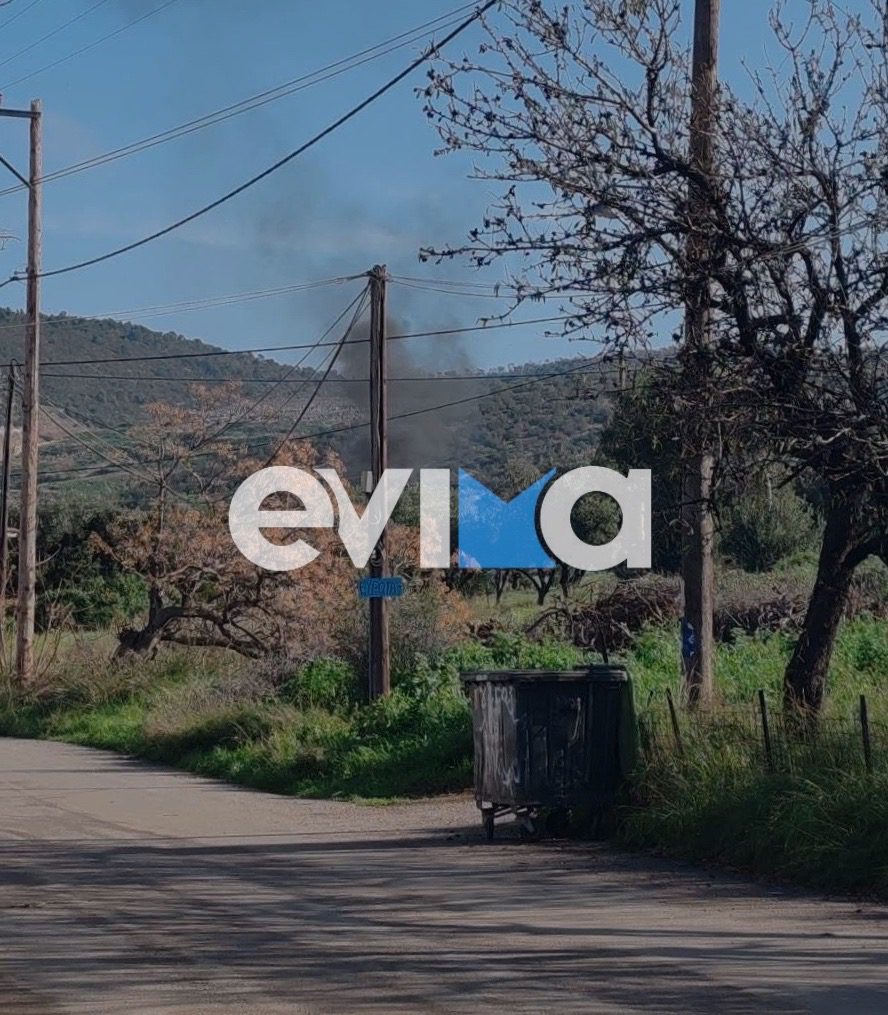 Φωτιά σε καλώδια σε οικισμό της Χαλκίδας