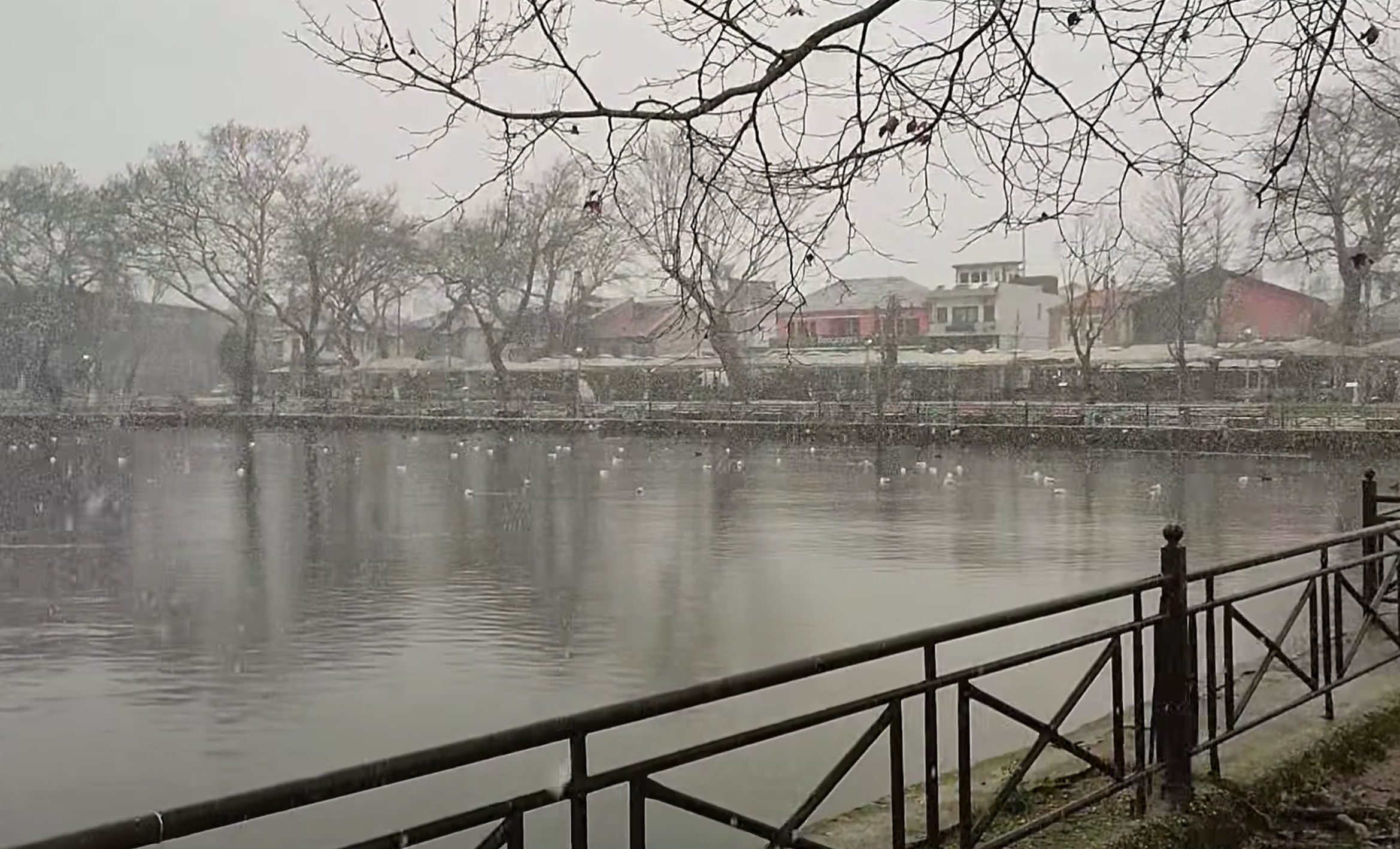 Στα λευκά τα Ιωάννινα: Δείτε βίντεο από το παραμυθένιο χιονισμένο τοπίο