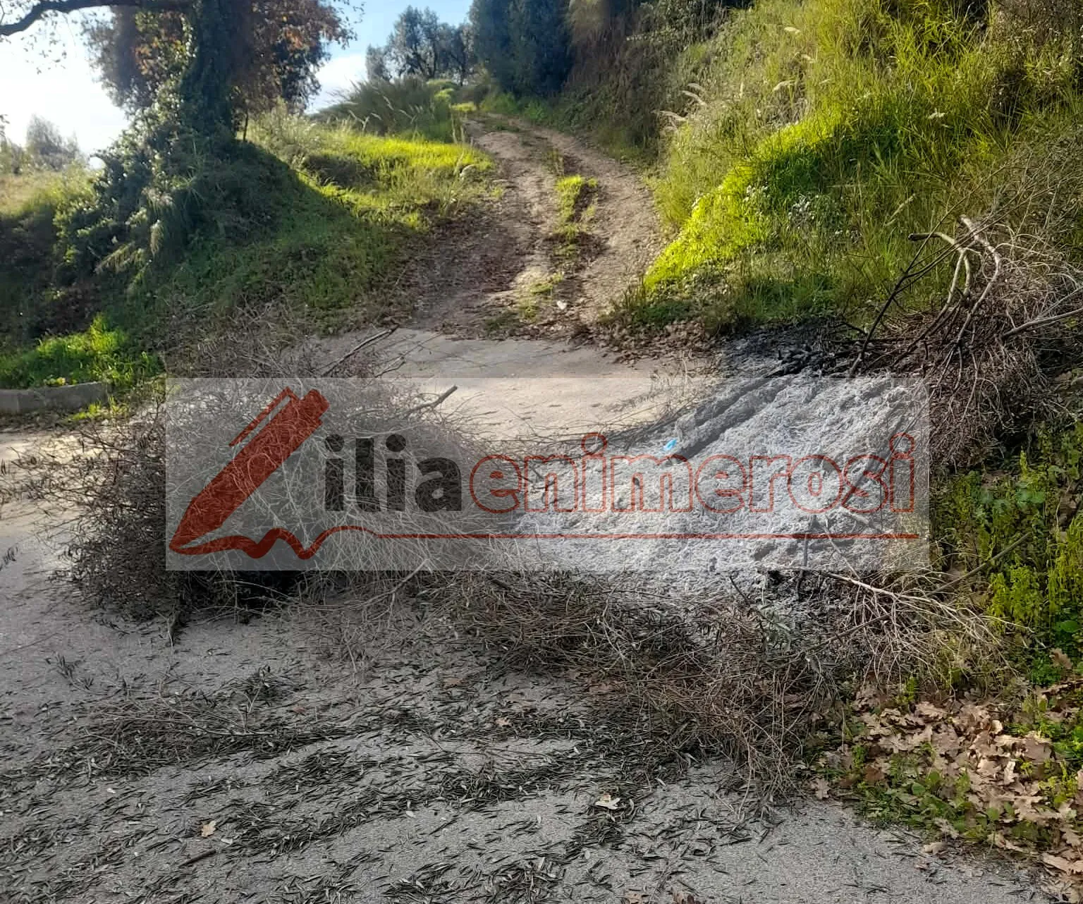 Σκαφιδιά: Άφησε την τελευταία του πνοή καίγοντας κλαριά