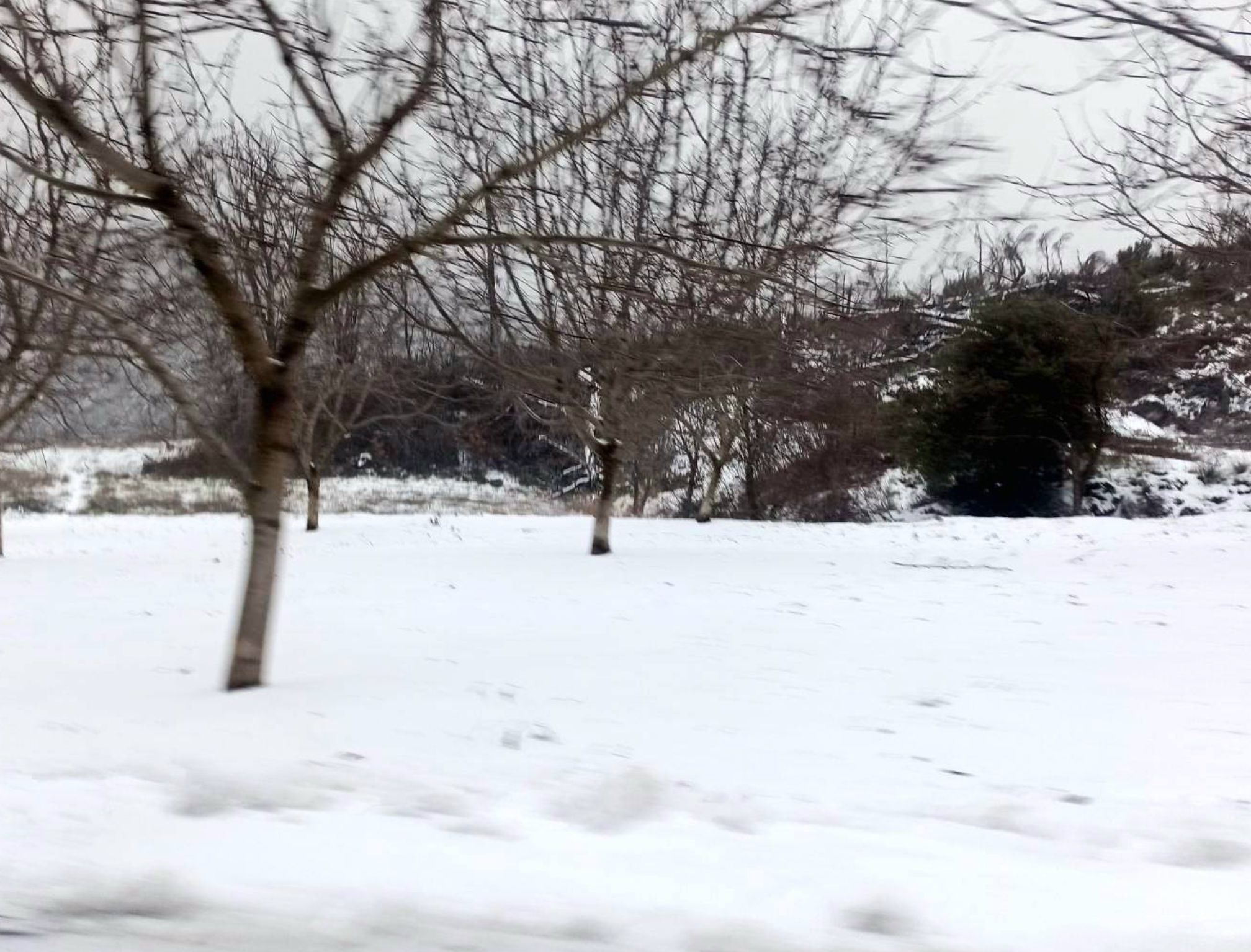 Εύβοια: Αυτό το χωριό «σκεπάστηκε» από το χιόνι