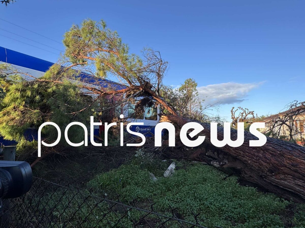 Πεύκο έπεσε πάνω σε τρένο που εκτελούσε το δρομολόγιο Πύργος – Κατάκολο, στο Νοσοκομείο ο μηχανοδηγός