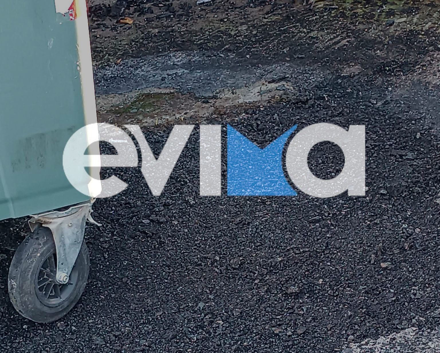 Συναγερμός στην Εύβοια: Άγνωστοι έκαψαν κάδο απορριμμάτων