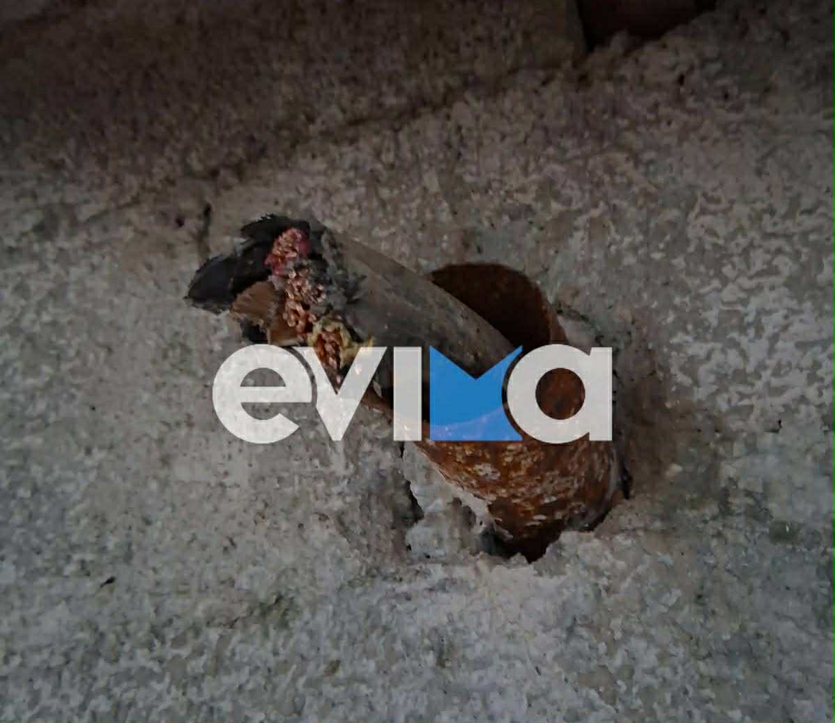 Αδιανόητη κλοπή στην Εύβοια: Άρπαξαν 100 μέτρα καλώδιο από επιχείρηση
