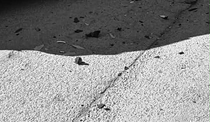 Θανατηφόρο τροχαίο στο δρόμο Θηβών – Χαλκίδας – Ένας νεκρός