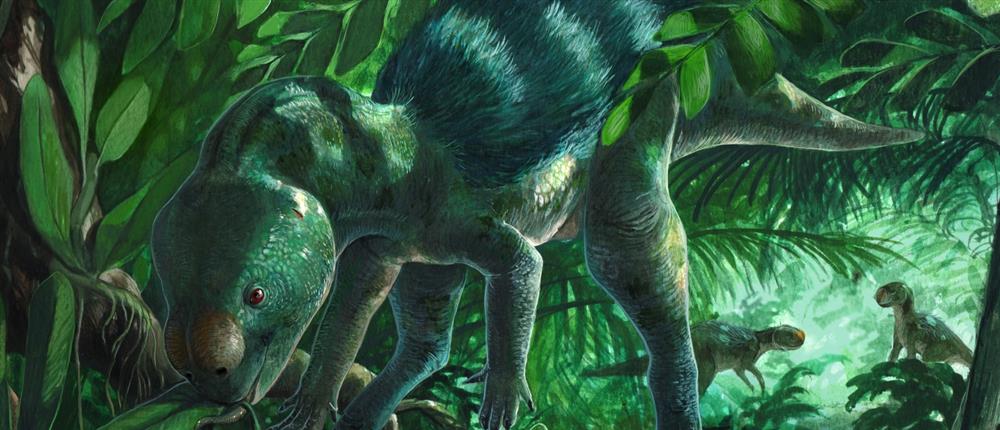 Ισπανία: Ανακάλυψη απολιθωμάτων μικροσκοπικού δεινόσαυρου