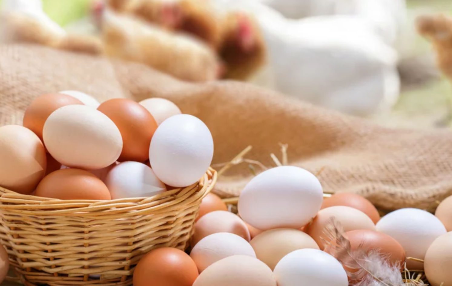 Ποια είναι η διαφορά ανάμεσα στα καφέ και στα λευκά αυγά