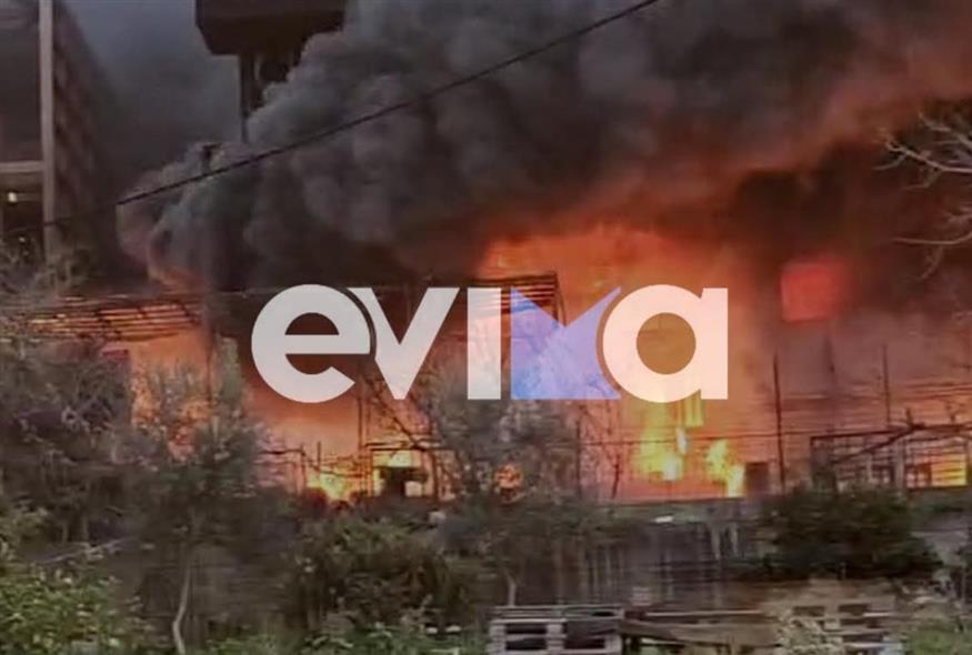 Πέθανε γυναίκα μετά από φωτιά στο σπίτι της στην Εύβοια